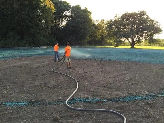 Professional lawn care service for outdoor upgrades in East Moline, IL by Curb Appeal