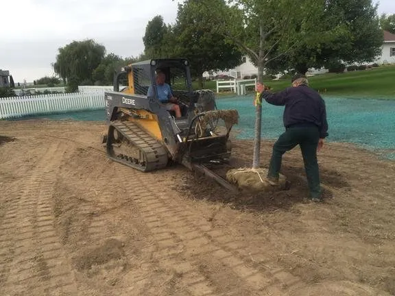 Expert residential landscaping experts serving East Moline, IL - Curb Appeal