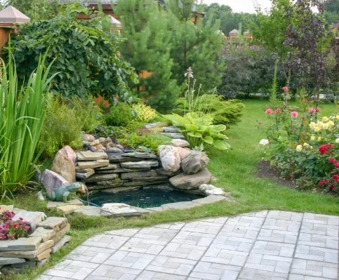 Affordable landscaping services for beautiful yards across Lafayette, LA - Curb Appeal Etc