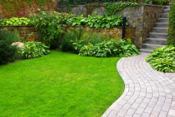 Local yard cleanup service experts serving Lafayette, LA - Curb Appeal Etc