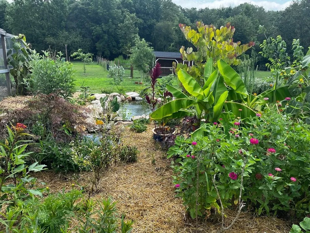 Affordable landscape installation experts serving Carrsville, VA - Curb Appeal Fixers ‘xtreme’ landscaping
