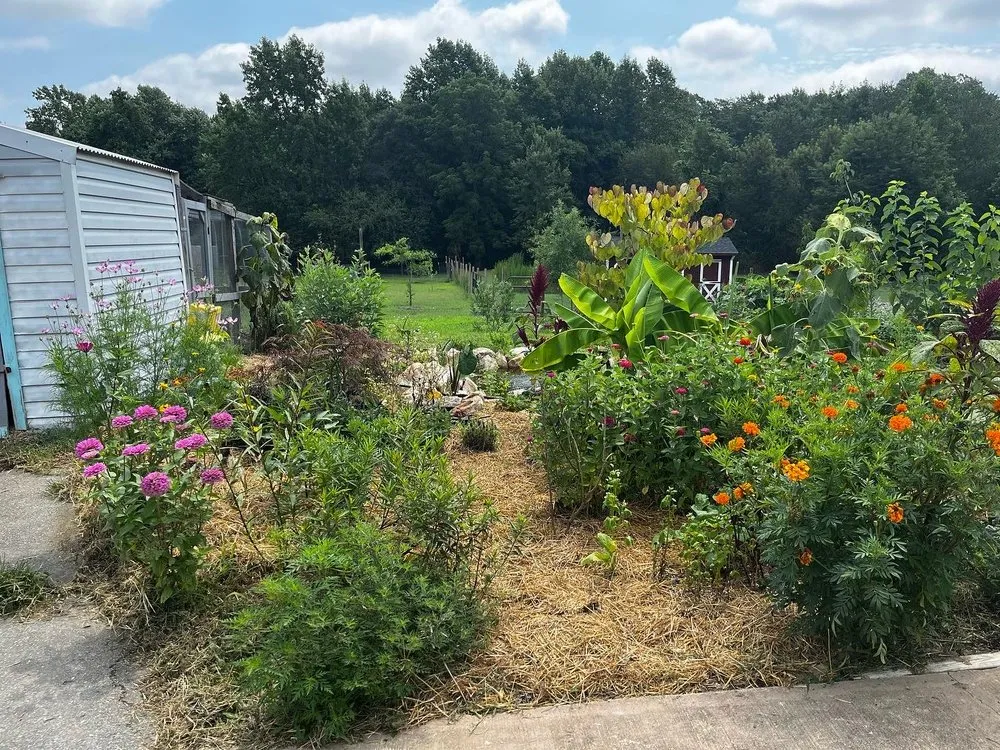 Local yard cleanup service with custom design in Carrsville, VA by Curb Appeal Fixers ‘xtreme’ landscaping