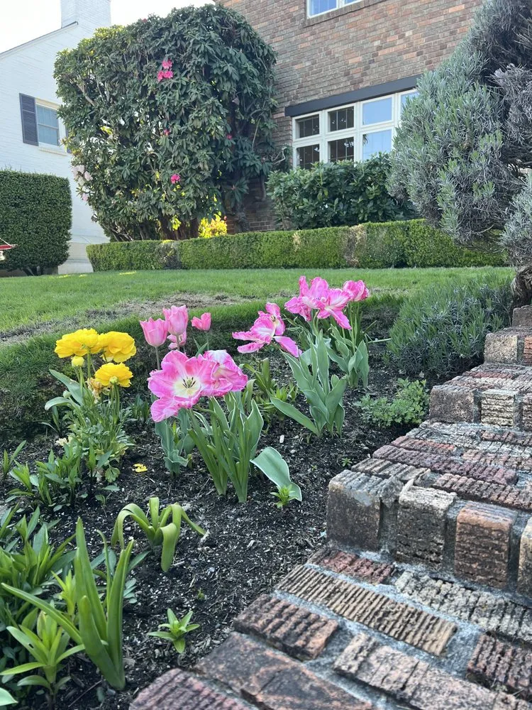 Professional garden landscaping in Seattle, WA - Curb Appeal Gardener