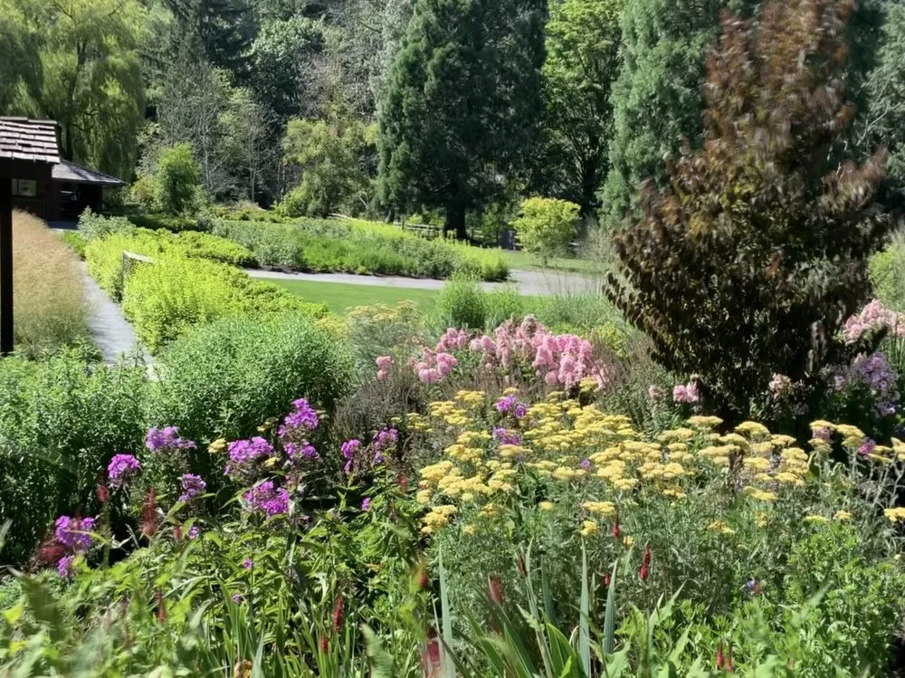 Trusted landscaping services near you in Seattle, WA by Curb Appeal Gardener