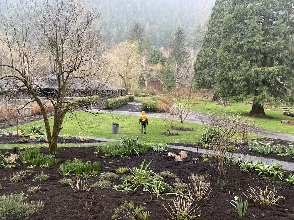 Custom yard cleanup service experts serving Seattle, WA - Curb Appeal Gardener