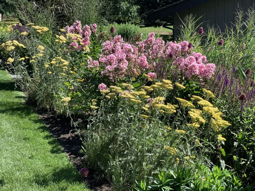 Reliable landscape installation experts serving Seattle, WA - Curb Appeal Gardener