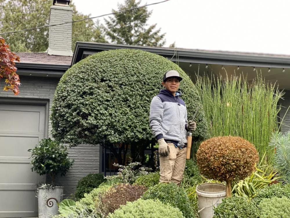 Professional garden landscaping in Seattle, WA by Curb Appeal Gardener