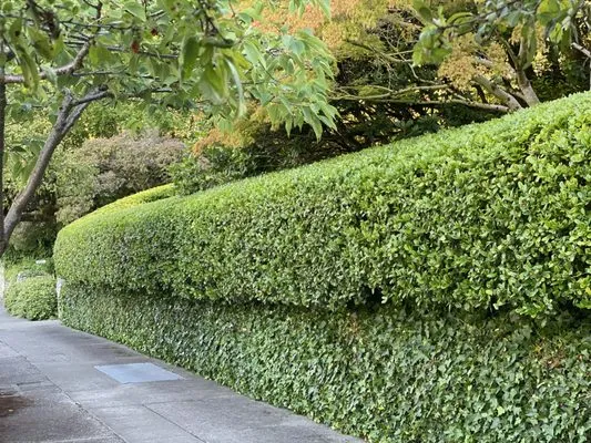 Curb Appeal Gardener