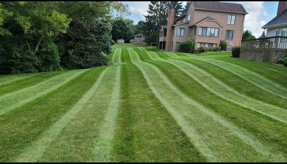 Reliable landscaping services in Greenbrier, AR by Curb Appeal