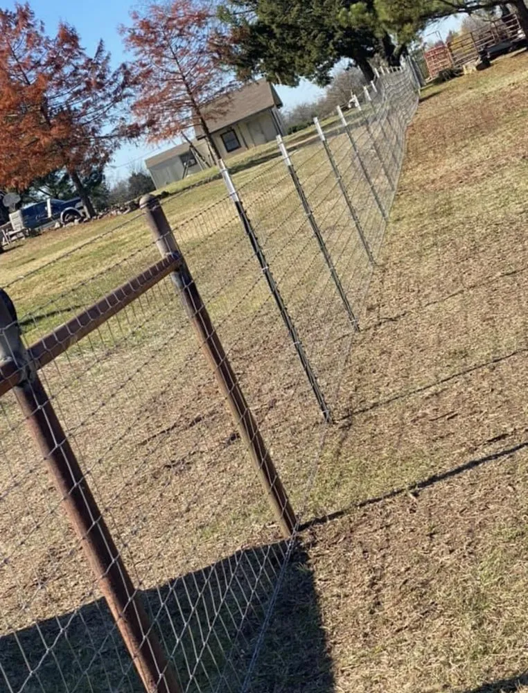 Affordable yard cleanup service in Huntsville, AL by Curb Appeal