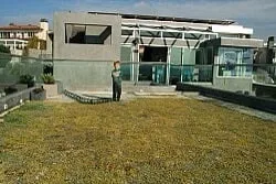 Affordable landscape design near you in Victorville, CA by Curb Appeal Landscape and Tree Service