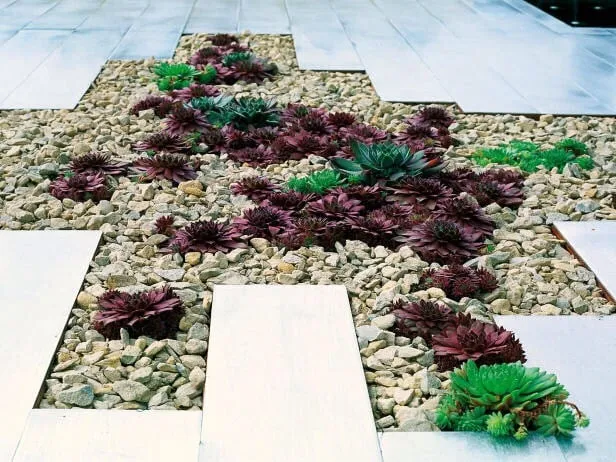 Local lawn mowing service experts serving Victorville, CA - Curb Appeal Landscape and Tree Service