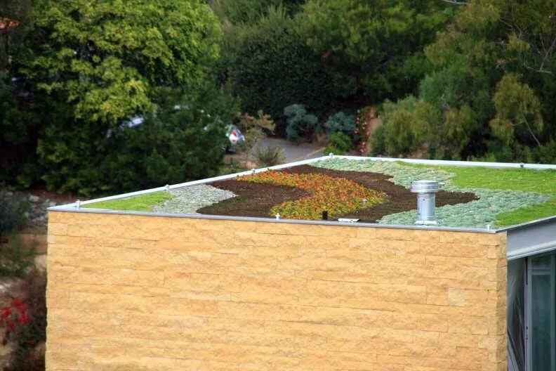 Expert yard maintenance with custom design across Victorville, CA - Curb Appeal Landscape and Tree Service