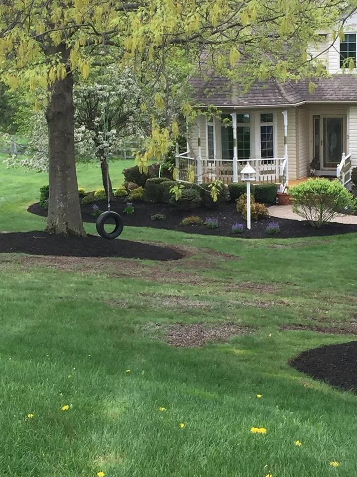 Local lawn care service in Campbell Hall, NY - Curb Appeal Landscape Contractors