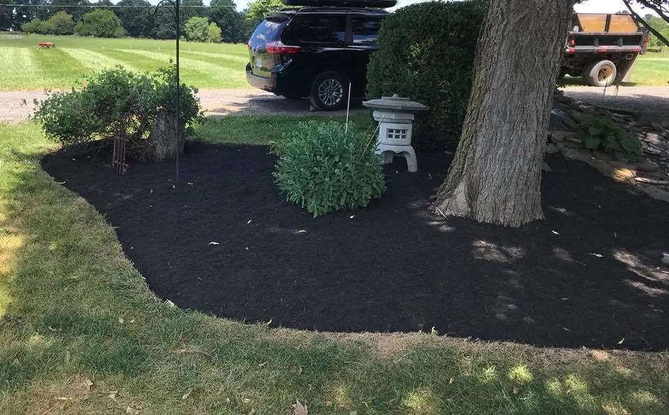 Expert lawn care service in Harrisonburg, VA by Curb Appeal Landscape Maintenance