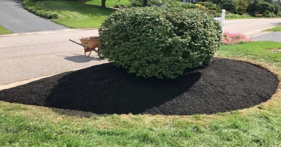 Top-rated lawn mowing service in Harrisonburg, VA - Curb Appeal Landscape Maintenance