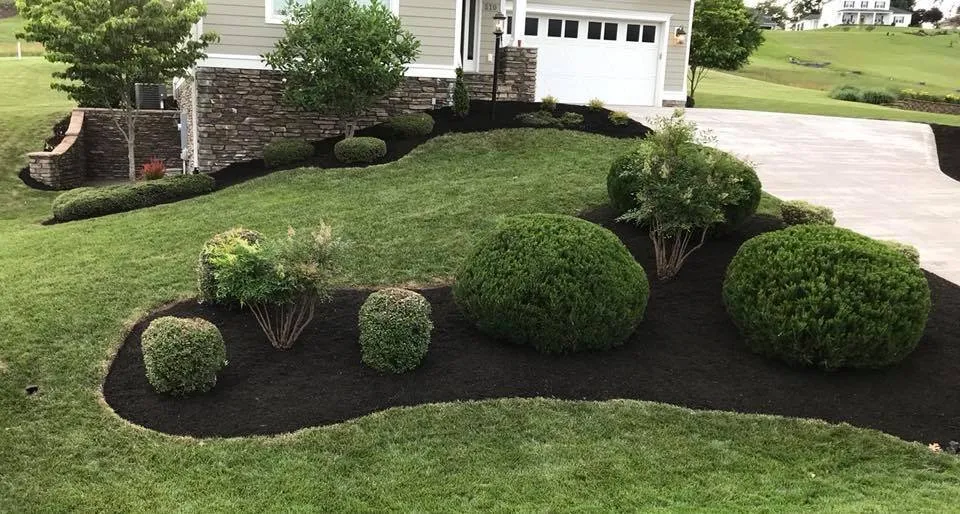 Trusted lawn care service experts serving Harrisonburg, VA - Curb Appeal Landscape Maintenance