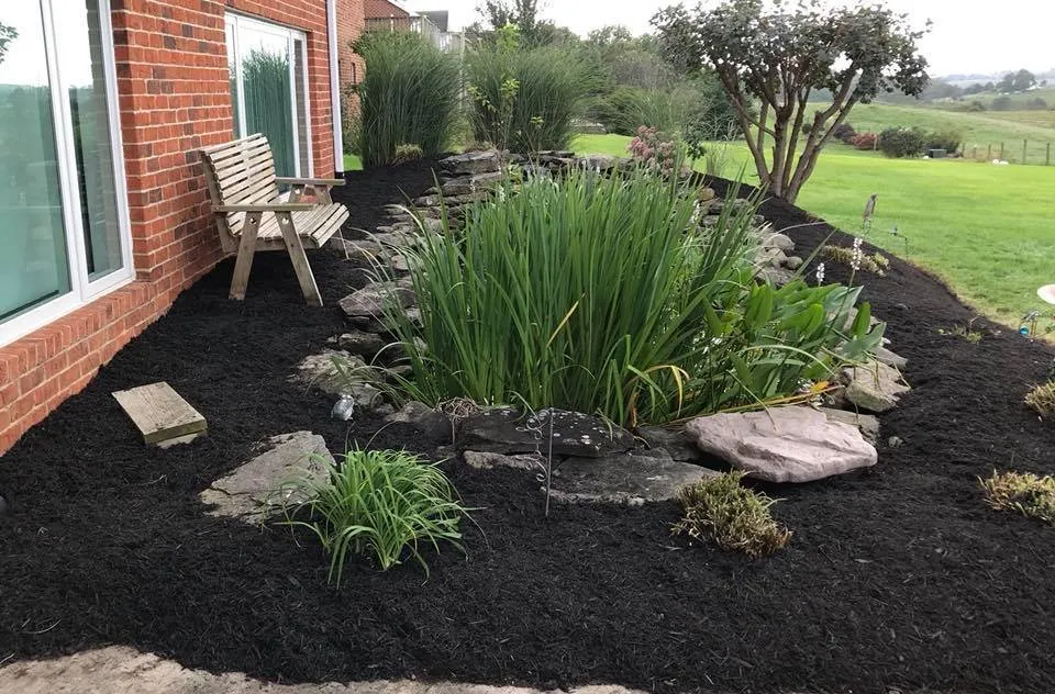 Local outdoor landscaping in Harrisonburg, VA by Curb Appeal Landscape Maintenance