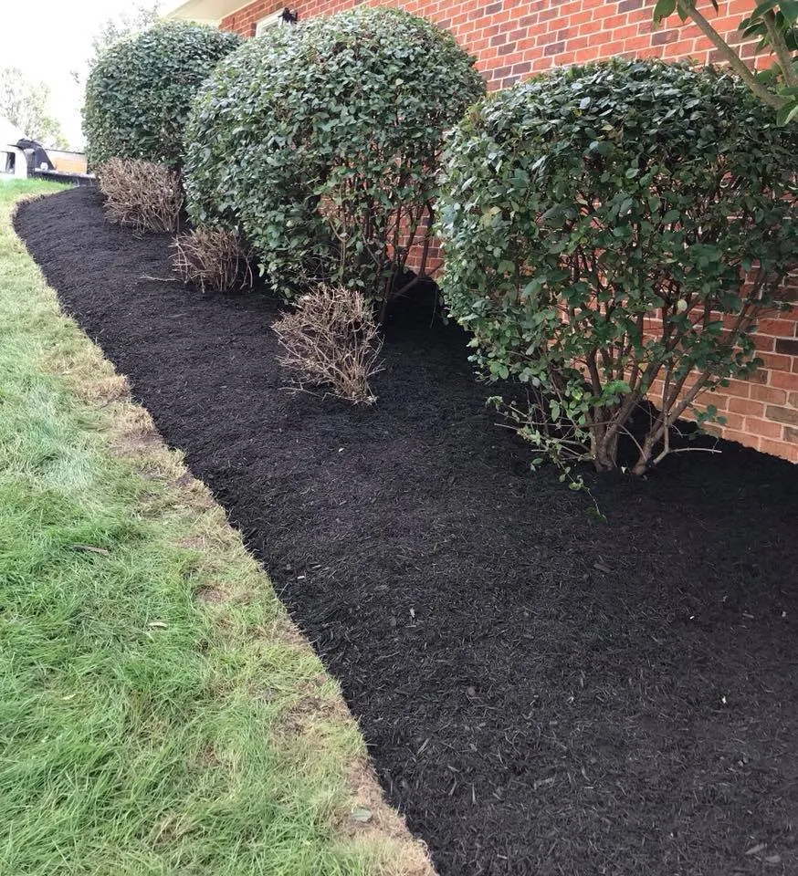 Custom lawn mowing service for homes in Harrisonburg, VA by Curb Appeal Landscape Maintenance