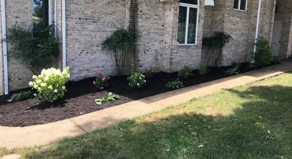 Trusted yard cleanup service in Harrisonburg, VA - Curb Appeal Landscape Maintenance