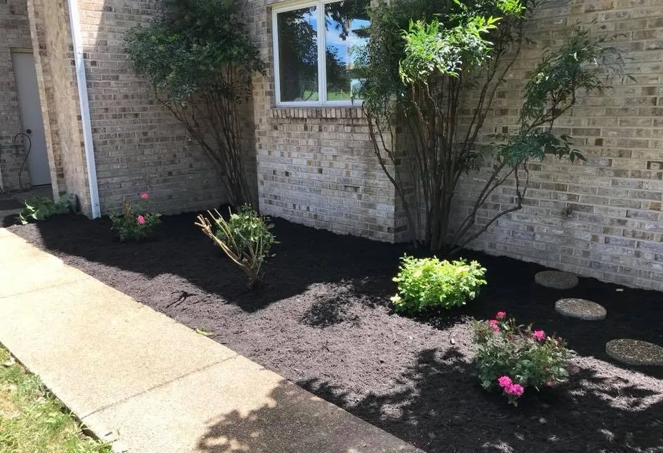 Local yard cleanup service in Harrisonburg, VA - Curb Appeal Landscape Maintenance