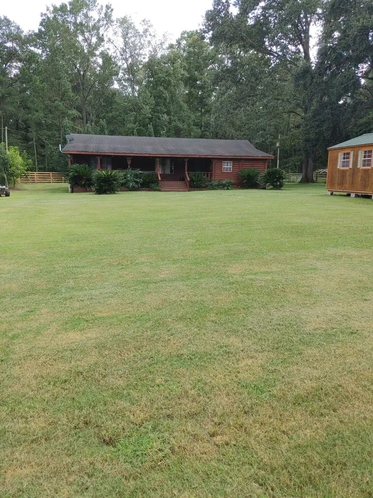 Expert yard cleanup service experts serving Okatie, SC - Curb Appeal Landscape Maintenance