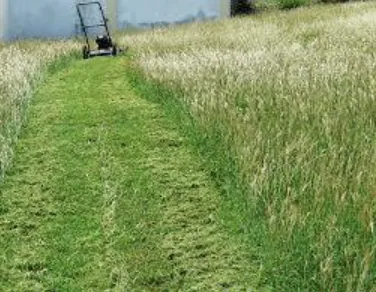 Top-rated yard cleanup service in Litchfield, OH - Curb Appeal Landscape Services