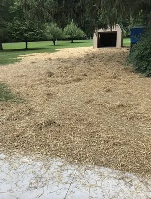 Curb Appeal Landscape Services