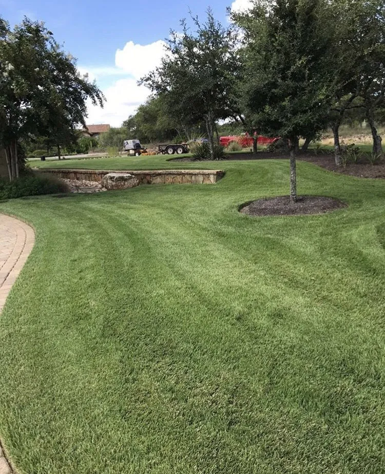 Custom landscape installation in Austin, TX by Curb Appeal Landscapes