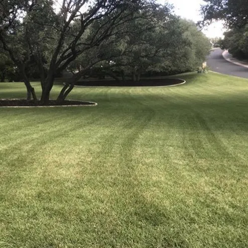 Affordable residential landscaping in Austin, TX - Curb Appeal Landscapes