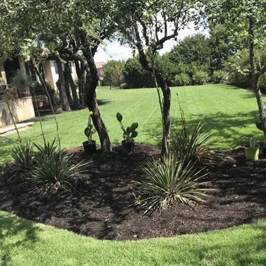 Expert landscaping services with custom design across Austin, TX - Curb Appeal Landscapes