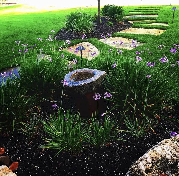 Local outdoor landscaping in Austin, TX by Curb Appeal Landscapes