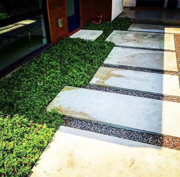 Expert lawn care service in Austin, TX by Curb Appeal Landscapes
