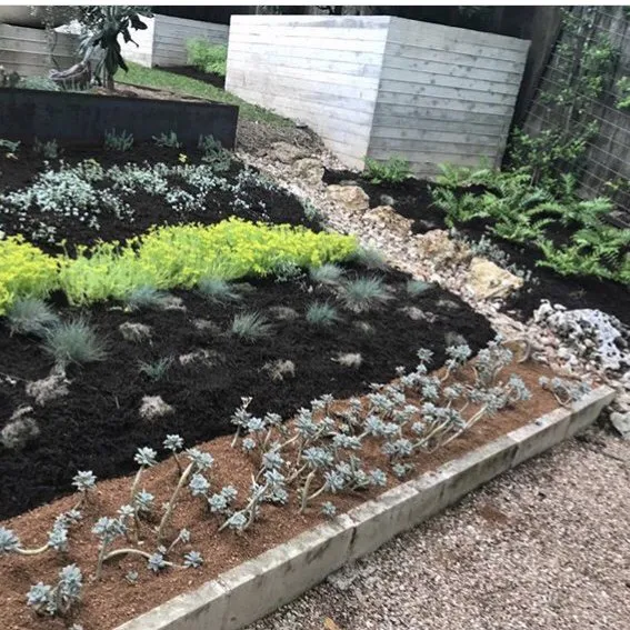 Local lawn mowing service for year-round maintenance in Austin, TX by Curb Appeal Landscapes