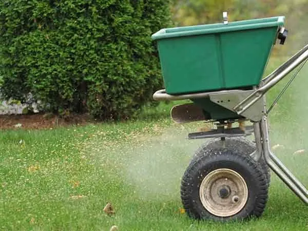 Top-rated lawn mowing service experts serving Los Angeles, CA - Curb Appeal Landscapes