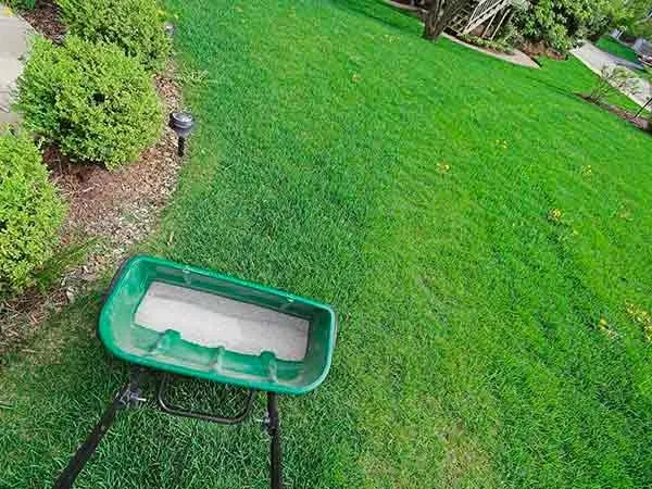 Local lawn mowing service for beautiful yards across Los Angeles, CA - Curb Appeal Landscapes