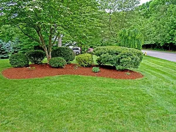 Reliable landscape installation for year-round maintenance across Los Angeles, CA - Curb Appeal Landscapes