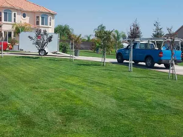 Local lawn mowing service in Los Angeles, CA - Curb Appeal Landscapes