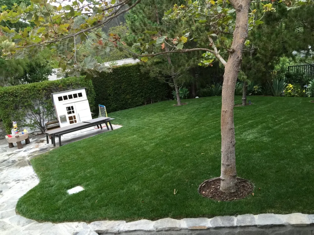 Reliable yard cleanup service in Los Angeles, CA - Curb Appeal Landscapes