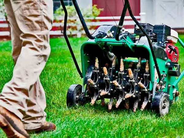 Local landscape installation near you in Los Angeles, CA by Curb Appeal Landscapes