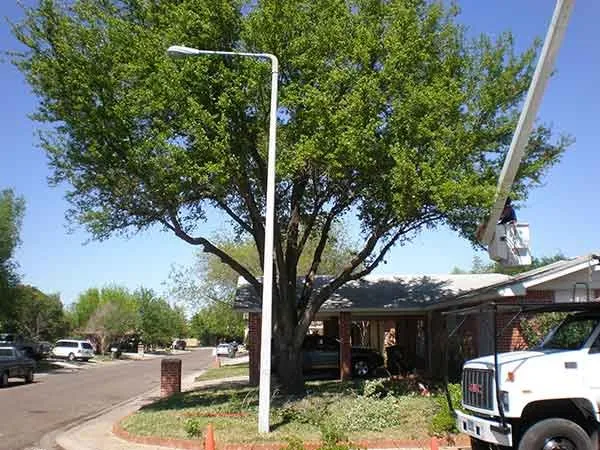 Local outdoor landscaping for outdoor upgrades across Los Angeles, CA - Curb Appeal Landscapes