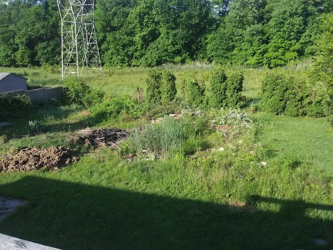 Local landscape design experts serving Aston, PA - Curb Appeal Landscaping & Design