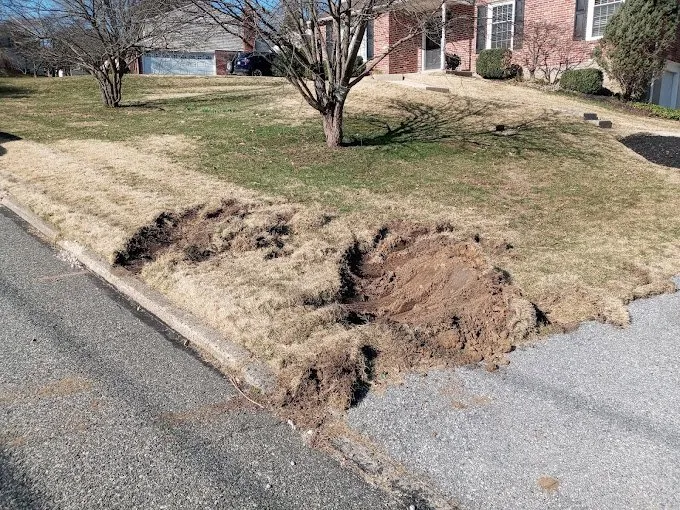 Affordable yard maintenance for beautiful yards in Aston, PA by Curb Appeal Landscaping & Design