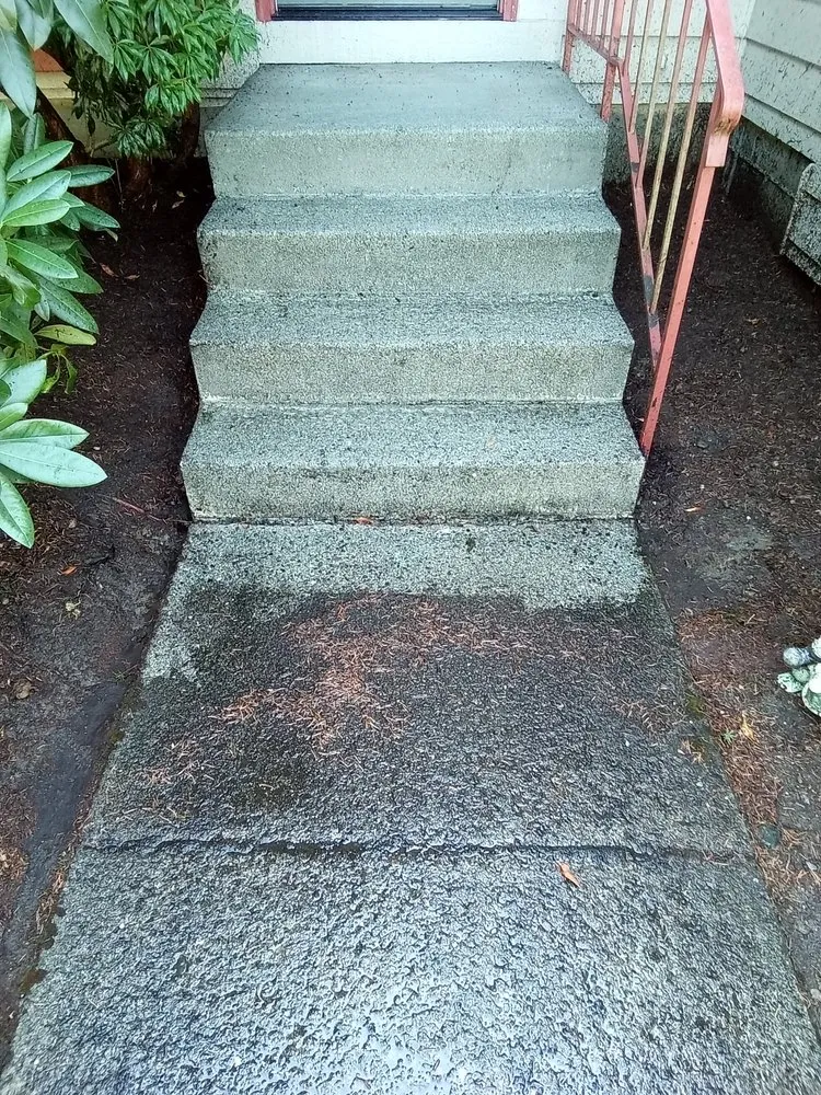 Top-rated residential landscaping in Everett, WA by Curb Appeal Landscaping and Home Services