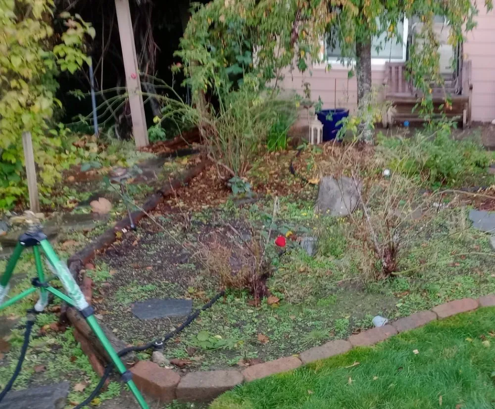 Expert landscape design in Everett, WA - Curb Appeal Landscaping and Home Services