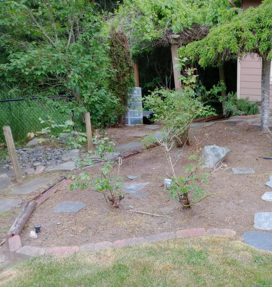 Top-rated yard cleanup service for residential properties in Everett, WA by Curb Appeal Landscaping and Home Services