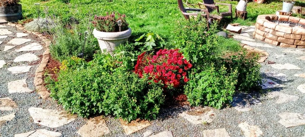 Top-rated residential landscaping in Everett, WA by Curb Appeal Landscaping and Home Services