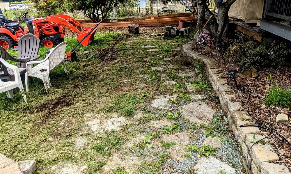 Expert lawn mowing service in Everett, WA - Curb Appeal Landscaping and Home Services