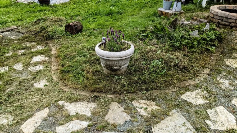 Reliable residential landscaping experts serving Everett, WA - Curb Appeal Landscaping and Home Services