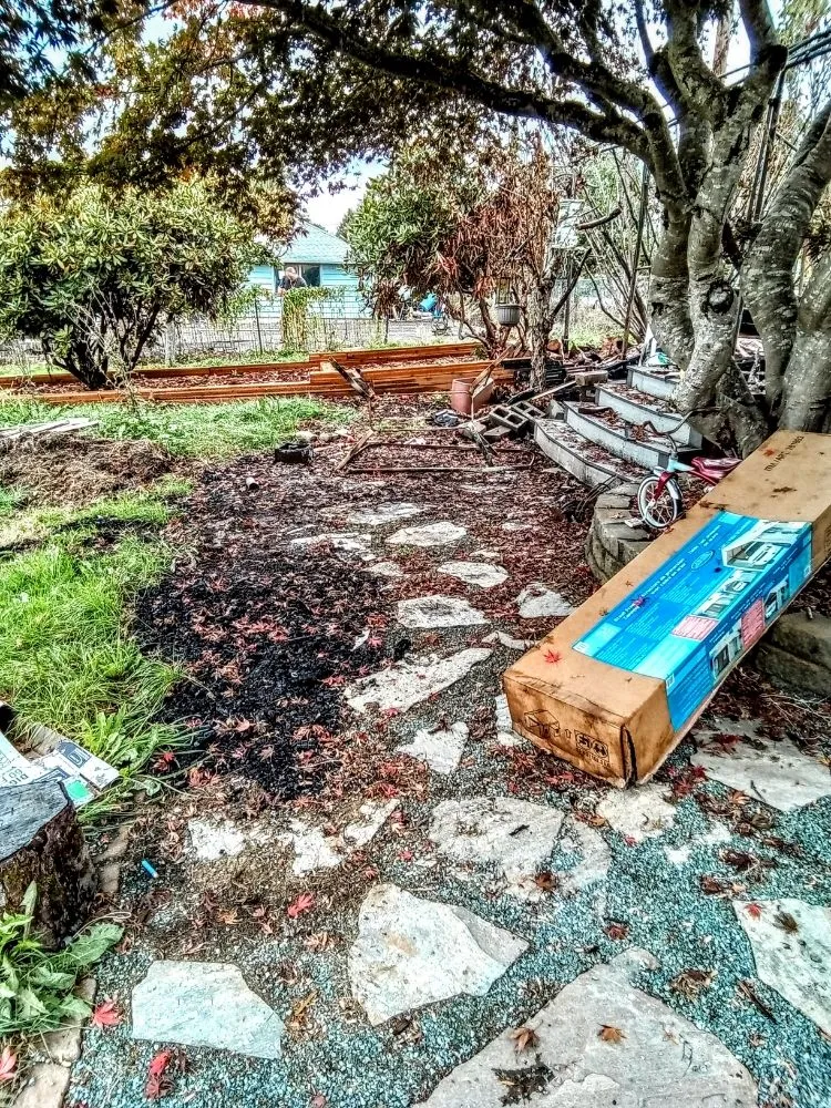 Expert lawn care service for residential properties across Everett, WA - Curb Appeal Landscaping and Home Services